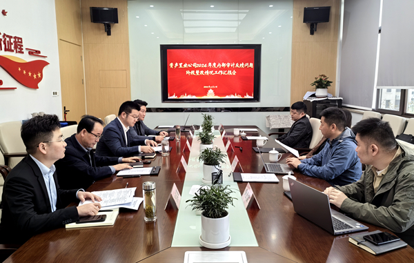 纪审联动压实整改责任，，，，，，精准施策激活增效动能